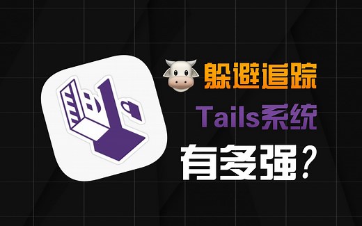 能避免国安局追踪的系统，Tails系统有多强？