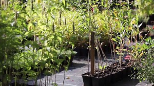 315 reactions · 289 shares | Wow! In the middle of Germany's largest city sits a farm growing over 500 organic species: | Food Tank | Facebook