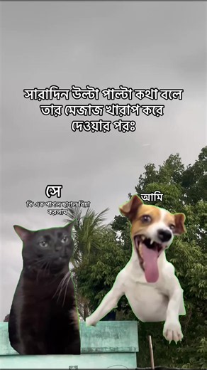 Ki rag korla 😁#everyone #foryoupage #viraltiktok