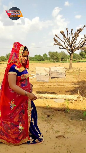 #Funny comedy || #Kesharburdak Rajasthani Marwadi Comedy | Rajasthani Marwadi Comedy