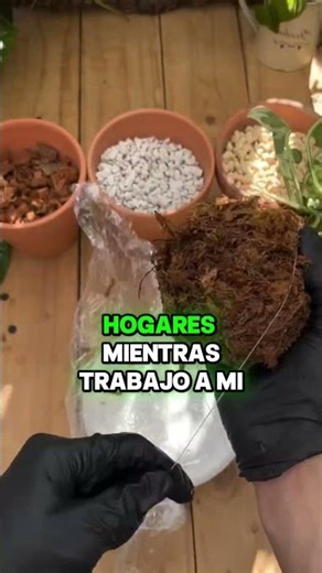 ¡Cómo salí de deudas haciendo lo que amo! 🌿💰