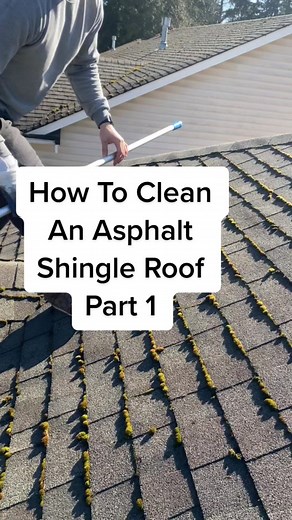 How to Clean an Asphalt Shingle Roof: Part 1