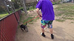 ibabyrainbow - Lucy and Luna playtime!