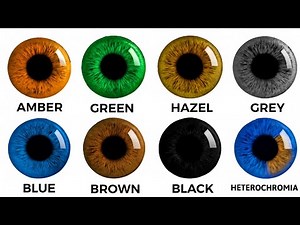 Every Eye Color and it's Evolutionary Advantage Explained