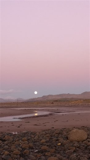 Joe Shevelan on Instagram: "This is how each day starts in the forge. Add paper, cut wood and some flames to the hearth and let it get up to temperature but putting in the metal ready to be forged. This little ritual is shared by meany blacksmiths is is the first step for makeing all the cools thing we make 🔥 ==========================================#forgedathome #herefordanvilsalumni #blacksmith #handmade #prosess"