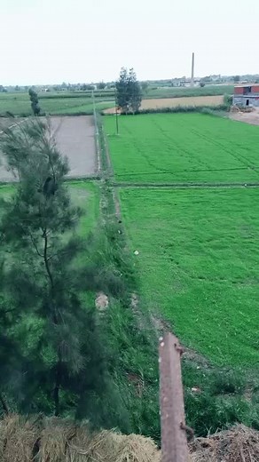 Exploring Beautiful Rural Landscapes in Agriculture