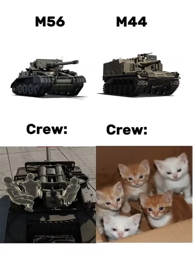 Meow War Thunder: Exploring Tanks and Aircraft in Combat