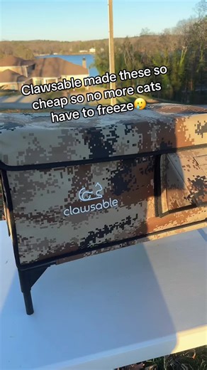 Protect Your Cats with Affordable Heated Outdoor Cat Houses
