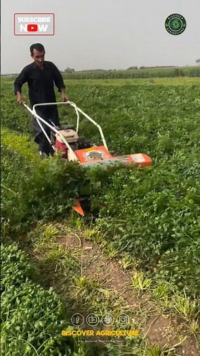 Amazing Reaper Machine