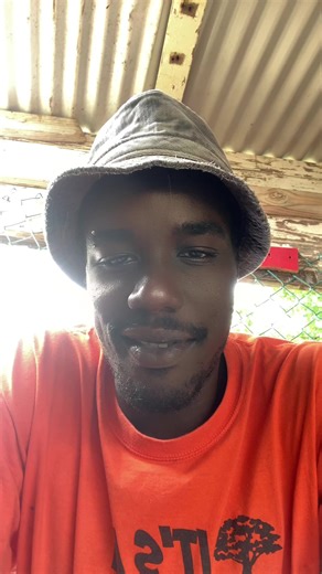 Be fruitful and multiply (@livestockking1)’s videos with original sound - Be fruitful and multiply