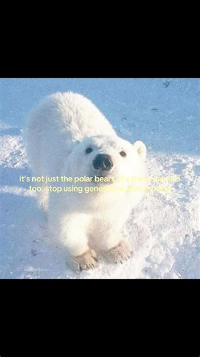 start using paper cups, start using bar soaps with biodegradable packaging, start using paper packaging, start using bar shampoos and conditioners, stop using toothpaste in plastic tubes, start using toothpaste tablets, start using bamboo tooth and hairbrushes, start using eco friendly search engines like ecosia to plant trees or oceanhero to remove plastics. ANYTHING YOU DO ABOVE IN THE LIST HELPS SAVE OUR PLANET, START NOW BEFORE IT IS TO LATE. #stopai #fyp#viralvideo #savethepolarbears #stopc