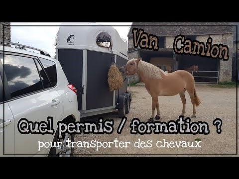 Permis pour transport de chevaux