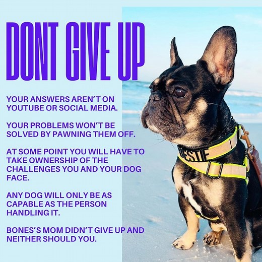 Frequency Canine Training on Reels