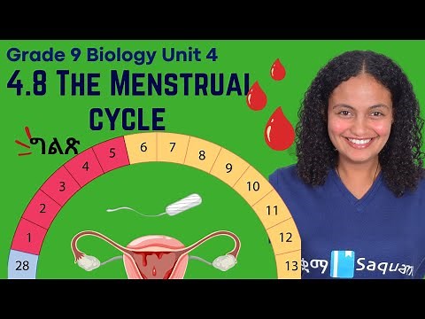 Grade 9 Biology Unit 4:4.8 The Menstrual cycle|Saquama