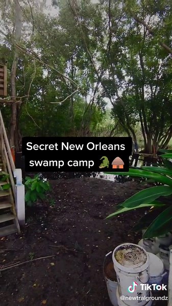 Creole Rare Camp in New Orleans Bayou