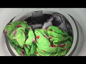 Colors (large load) - Panasonic washer NA-FD10X1HRM 10.0 kg