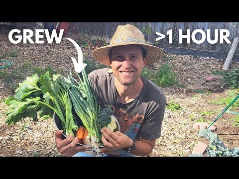 Backyard Farm Harvest that took 1 hour to grow 6 Step Process