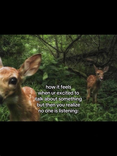 Disappointed Deer: When No One Listens