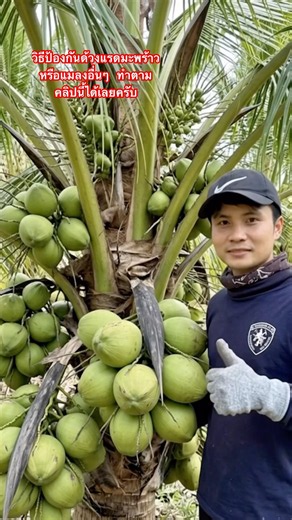 วิธีป้องกันด้วงแรดมะพร้าว หรือแมลงอื่นๆ ทำตามคลิปนี้ได้เลยครับ #สวนลุงคม