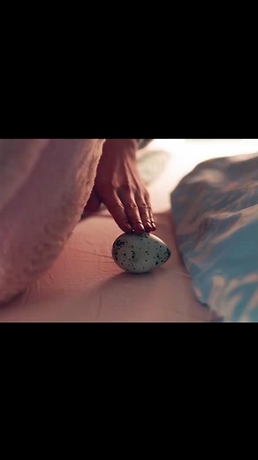 Wanted pet. Got a giant, fluffy DEVIL. 😈 Part 1 #PetProblems #WorstPetEver #GiantBird #FunnyHorror #reels #movierecaps | Movie Recaps