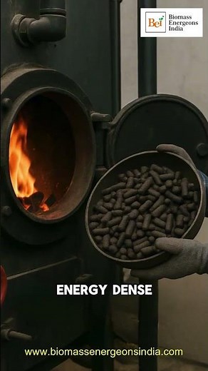 Torrefied Biomass Explained – The Future of Low-Emission Industrial Fuel