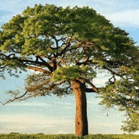 Mask AI - 機械学習の力で綺麗にマスク作成が出来るTopaz Labsの新ツール！