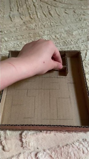 Can You Solve This Cardboard Maze? 👀