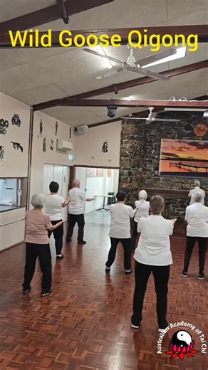 Learning the Wild Goose Qigong set in Perth. Not only does this Qigong set require a lot of balance but co-ordination of foot placement. Weight bearing exercises in Tai Chi help individuals to feel their own body weight. Weight-bearing makes your body work against gravity while standing or balancing, which helps strengthen bones and muscles. This not only helps people balance but the awareness level and proprioception of the nervous system improves. Wild Goose Qigong involves the five elements o
