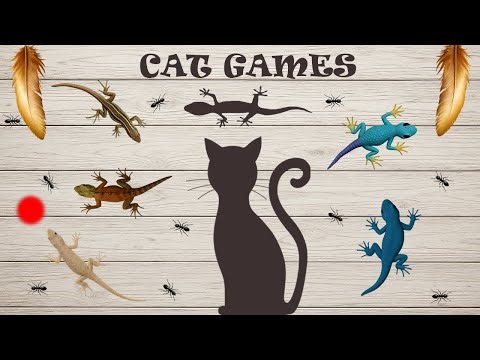 猫のためのコンピレーション映像 | Cat TV Compilation for Cats 🐾-CAT TV