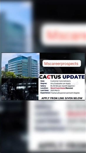 Cactus is Hiring Work From Home for Customer Care Advisors | Apply Online