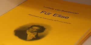 Chi era Elisa di “Per Elisa”? - Il Post