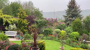 Orgona (metszése, vázába vágása) és egyebek. Trükkök tippek;) | Egy Kertész Kertje Pilisszentkereszten