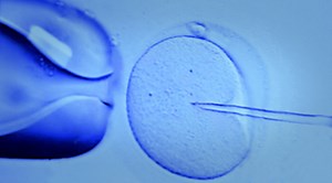 Bioethics: The Law, Medicine, and Ethics of Reproductive Technologies and Genetics