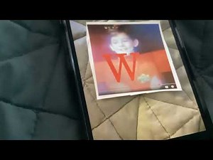 The Little Wiggles Theme Song