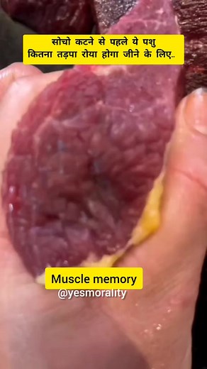 3.4M views · 10K reactions | सोचो कटने से पहले कितना तड़पा और रोया...