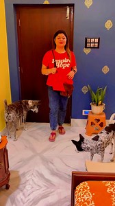 একটি সাধারণ মেয়ের Night Routine 😊❤️ #reels #facebookreels #viral reels #trendingreels #nightroutine | Sonali Bhattacharya