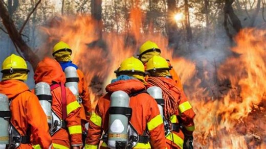 Wildland firefighters face up to $20K pay cut in the U.S. Here's why - The Weather Network