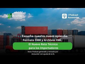 Format 3300 and XML Files: The New Technical Challenge for Importers