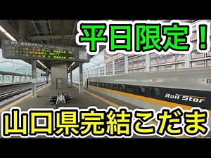 [Yamaguchi Prefecture's only Shinkansen line!?] I tried riding the "Kodama" from Shin-Shimonoseki...