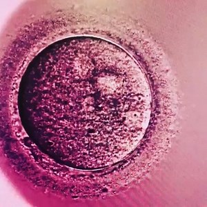 12K views · 125 reactions | AMY - What is Embryo Ash ? WHY do you...
