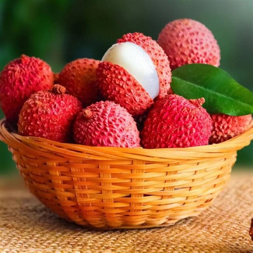Ychee Seeds for Home Garden – Easy Grow Tropical Fruit Trees - Etsy