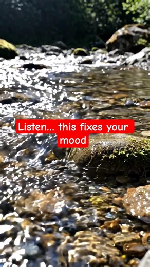 Go with the flow. #river #nature #calm #relaxing #shorts #viral