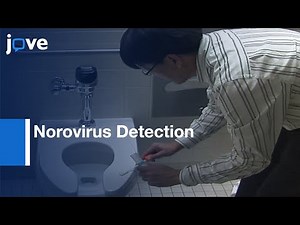 Norovirus Detection by Swab Sampling form Surfaces | Protocol Preview