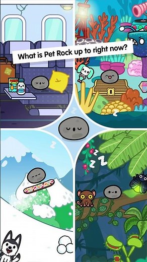 What's pet rock up to right now? 🧐👆 #Shorts