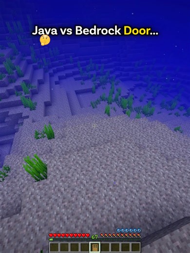 Minecraft Java vs Bedrock Door...🤯 | minecraft