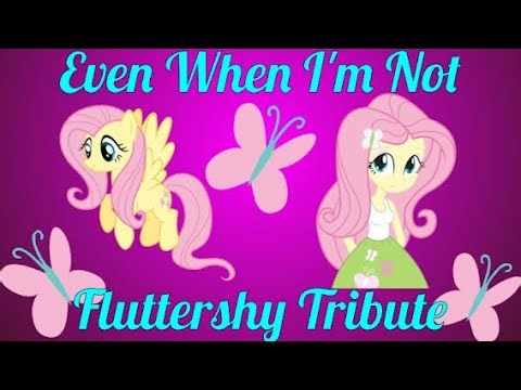 Even When I’m Not (Fluttershy Tribute)