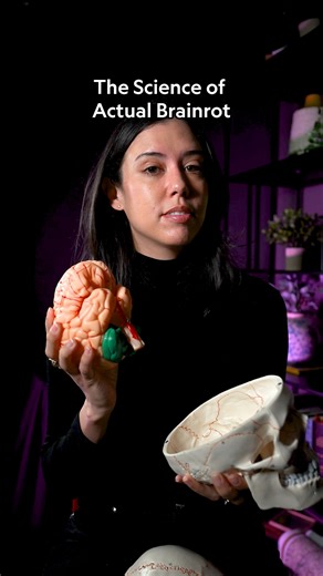 National Geographic on Instagram: "What's the real science behind brain rot? Contrary to popular belief, scrolling on social media doesn't lead to literal "brain rot." The true process of brain decay is a complex story involving cellular breakdown, bacteria, and preservation. And some brains, it turns out, can last far longer than we ever imagined. Learn more about brain rot at the link in bio. Host: @sarahgibbens"