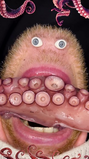 Octopus Funny Eating: Hilarious ASMR Moments