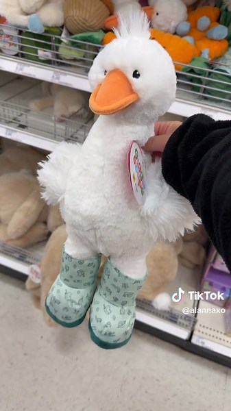 Adorable Duck Plushie from Target