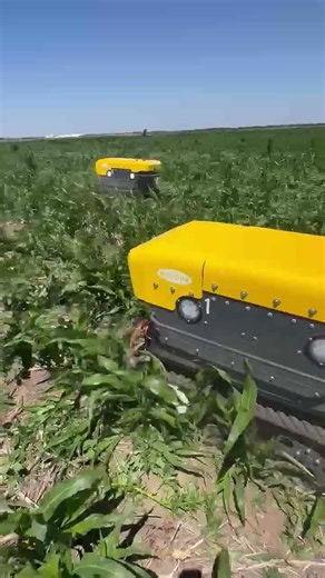 Greenfield Robotics BOTONY Robots Swarm a Field
